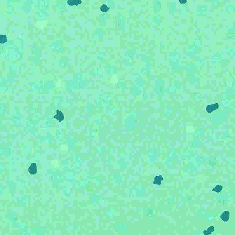 Piso de borracha à prova de riscos e de alta elasticidade