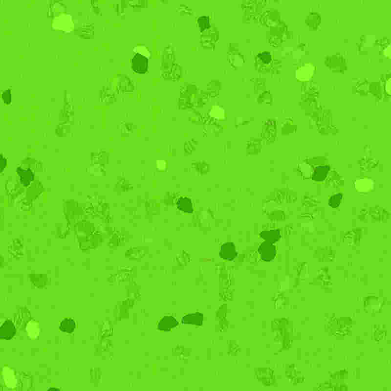 Piso de borracha à prova de riscos e de alta elasticidade