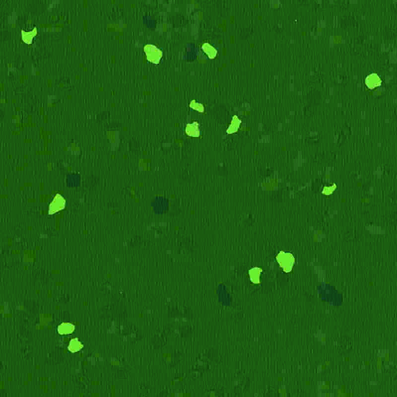 Piso de borracha à prova de riscos e de alta elasticidade