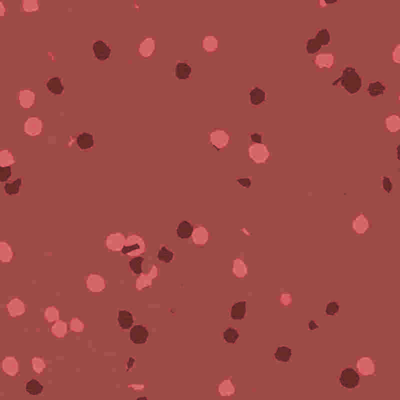 Pisos de borracha e plástico retardadores de chama e à prova d'água