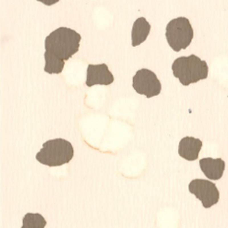 Piso de borracha antiderrapante e resistente a riscos