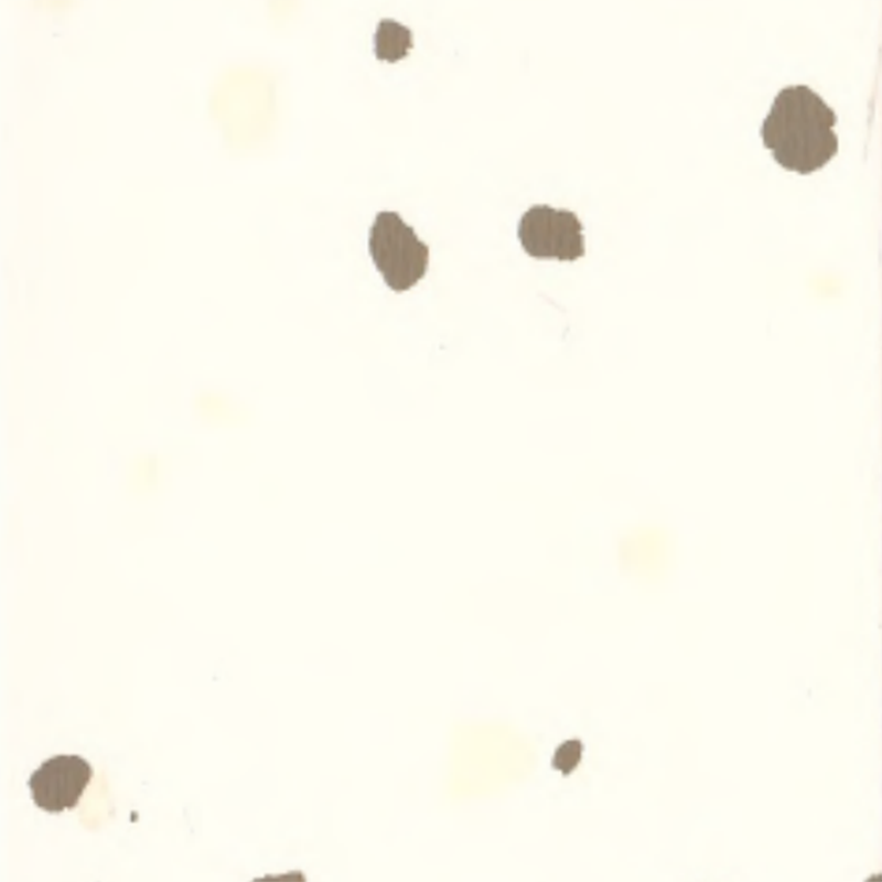 Piso de borracha ambiental