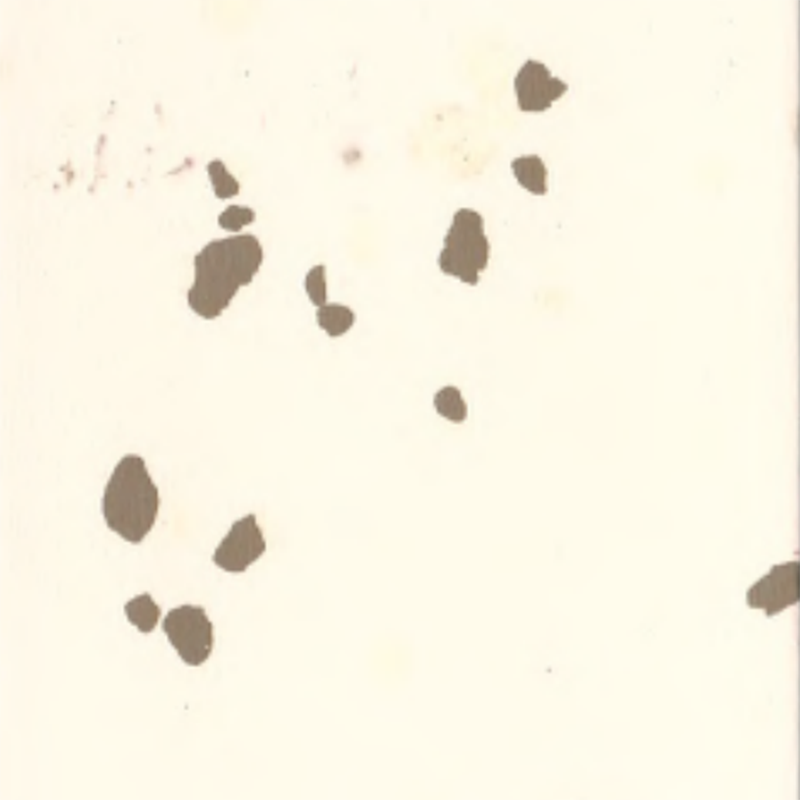 Piso de borracha ambiental